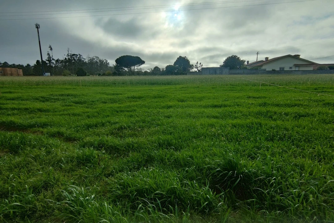 Terreno Agricola ou Rústico para Venda em Mindelo Foto 1