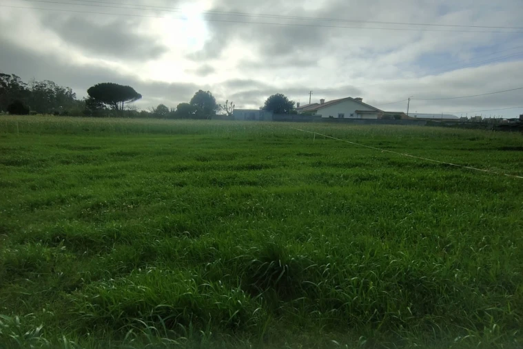 Terreno Agricola ou Rústico para Venda em Mindelo Foto 3
