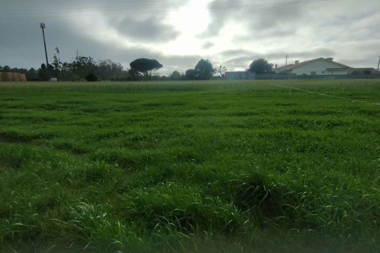 Terreno Agricola ou Rústico para Venda em Mindelo Foto 7