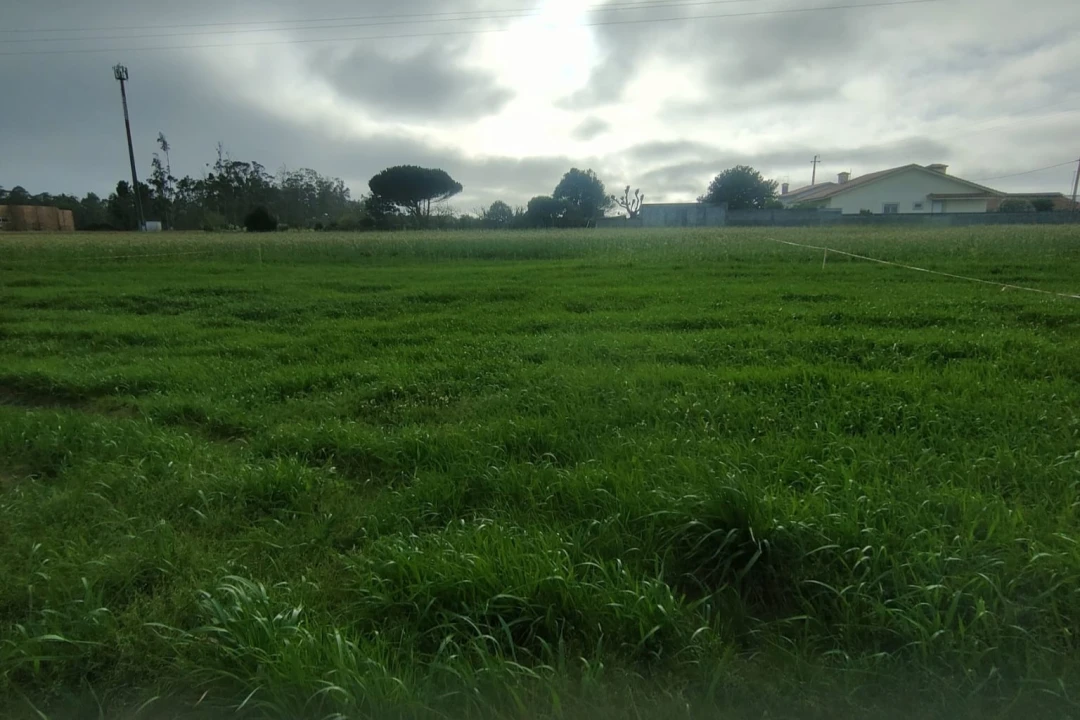 Terreno Agricola ou Rústico para Venda em Mindelo Foto 7