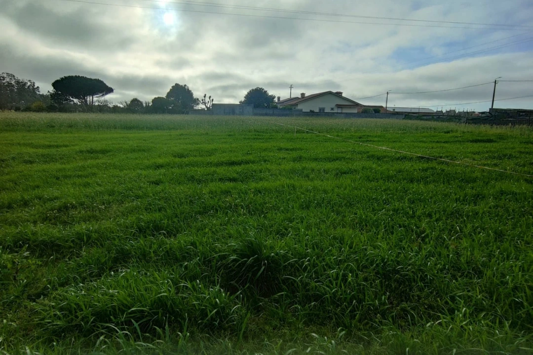 Terreno Agricola ou Rústico para Venda em Mindelo Foto 2