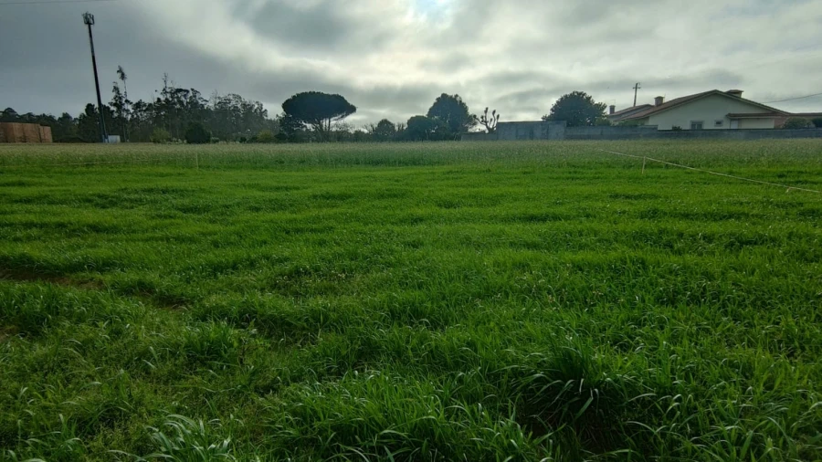 Terreno Agricola ou Rústico para Venda em Mindelo