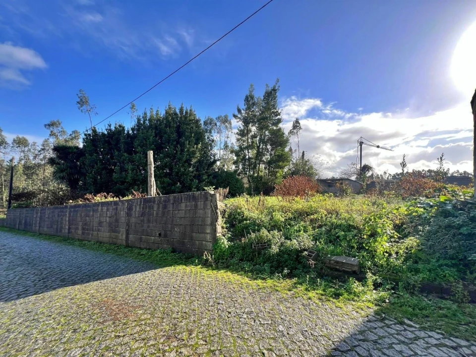 Terreno para Venda em Retorta e Tougues Foto 6