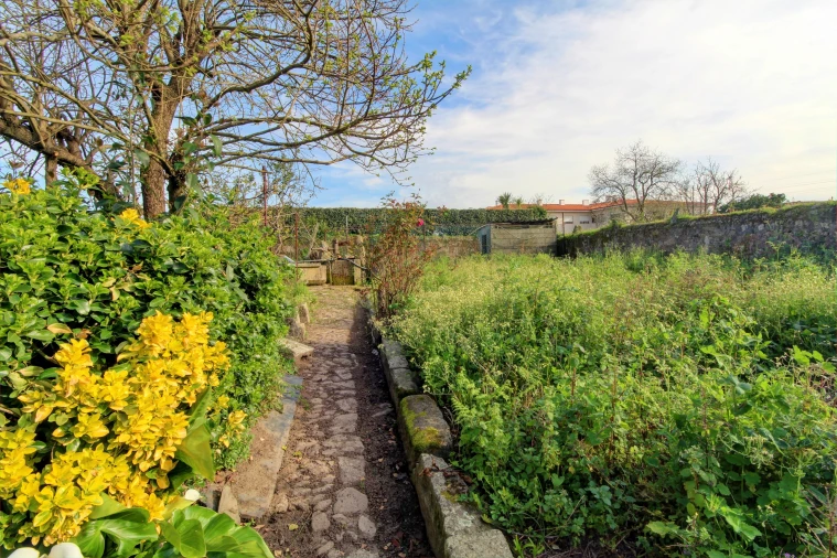 Moradia T0 para Venda em Malta e Canidelo Foto 7