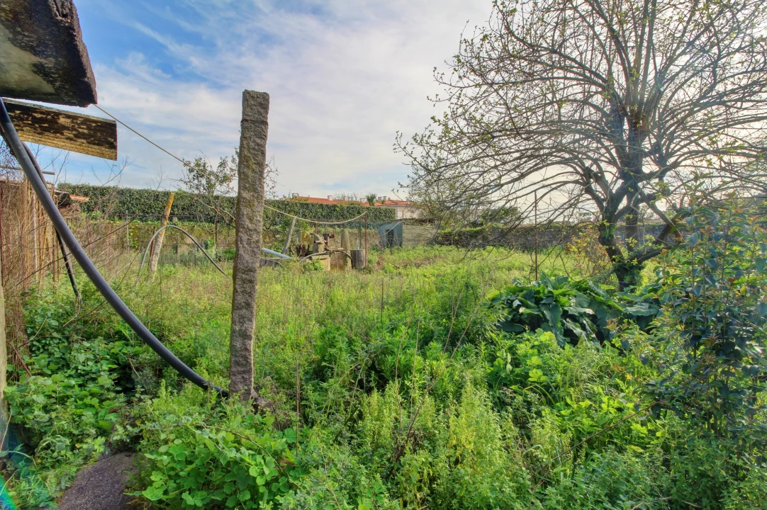 Moradia T0 para Venda em Malta e Canidelo Foto 11