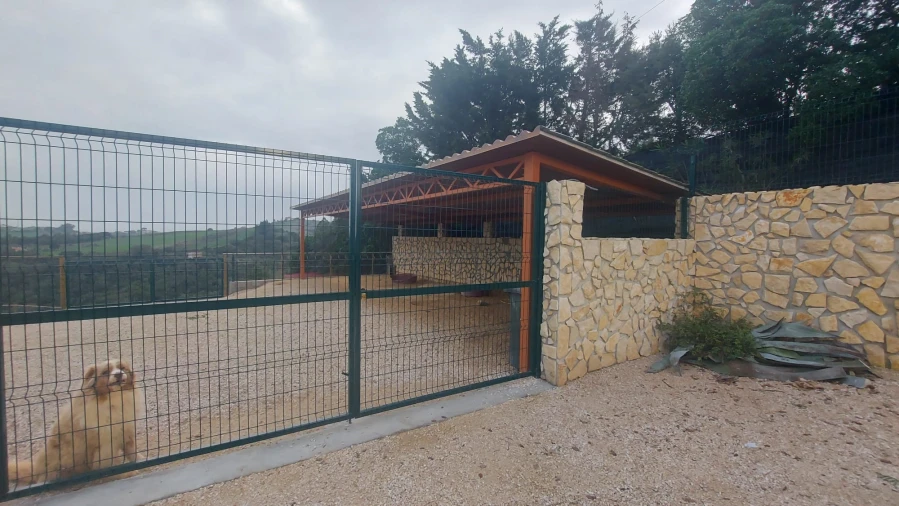 Moradia T0 para Venda em Cardosas Foto 4