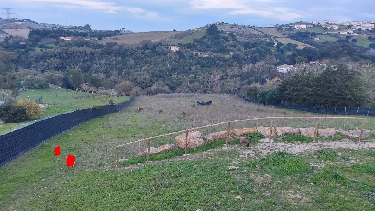 Moradia T0 para Venda em Cardosas Foto 9