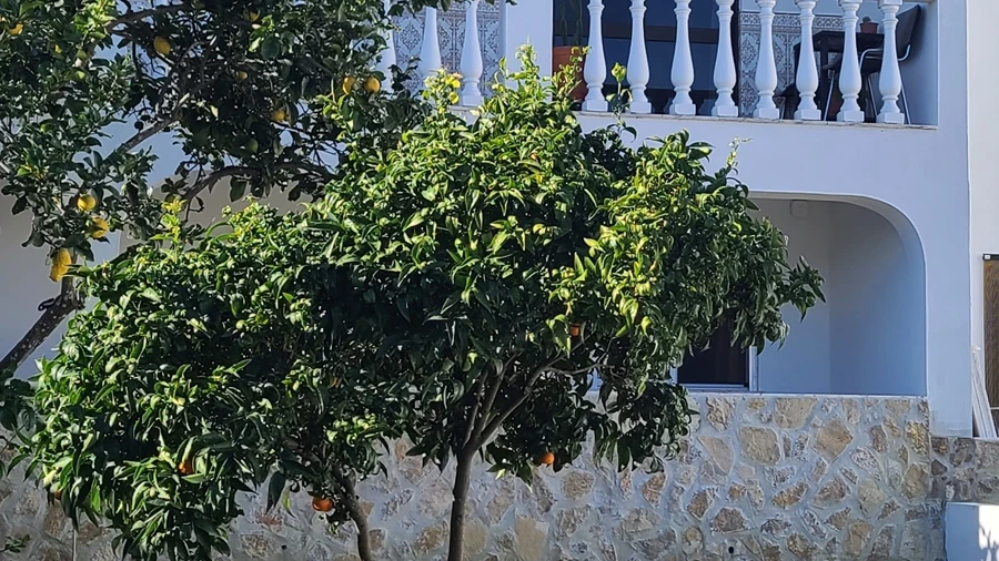 Moradia T3 para Venda em Aveiras de Baixo