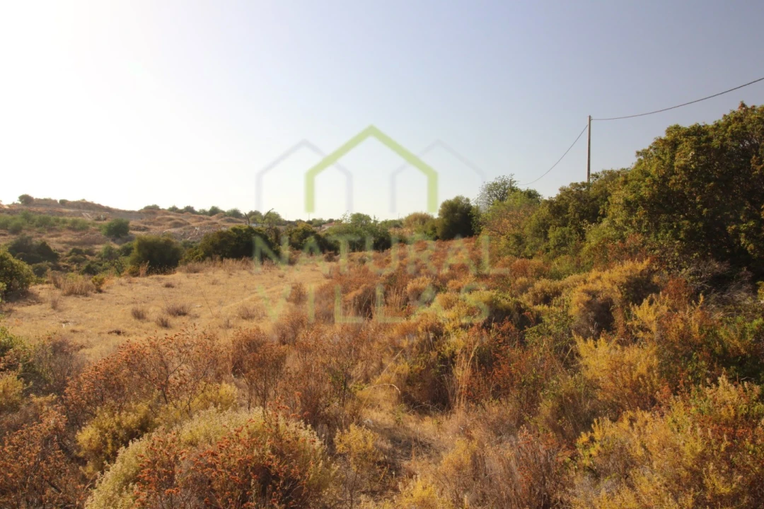 Terreno Agricola ou Rústico para Venda em Conceição e Estoi Foto 1