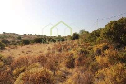 Terreno Agricola ou Rústico para Venda em Conceição e Estoi