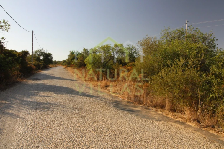 Terreno Agricola ou Rústico para Venda em Conceição e Estoi Foto 2
