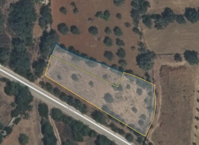 Terreno Agricola ou Rústico para Venda em Conceição e Estoi Foto 4