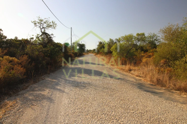 Terreno Agricola ou Rústico para Venda em Conceição e Estoi Foto 5