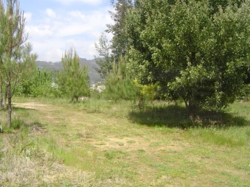 Terreno para Venda em Sever do Vouga