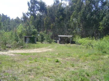 Terreno para Venda em Sever do Vouga