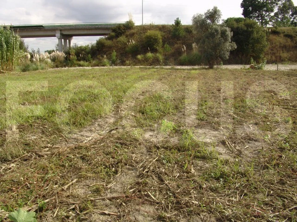 Terreno para Venda em Oliveirinha Foto 4