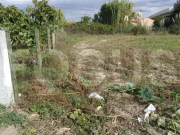 Terreno para Venda em Oliveirinha