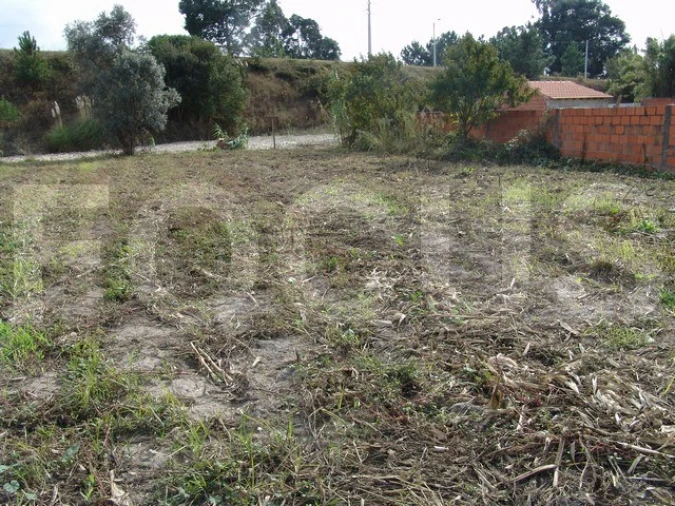 Terreno para Venda em Oliveirinha Foto 6