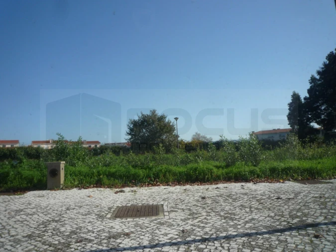 Terreno para Venda em Albergaria-A-Velha e Valmaior Foto 3