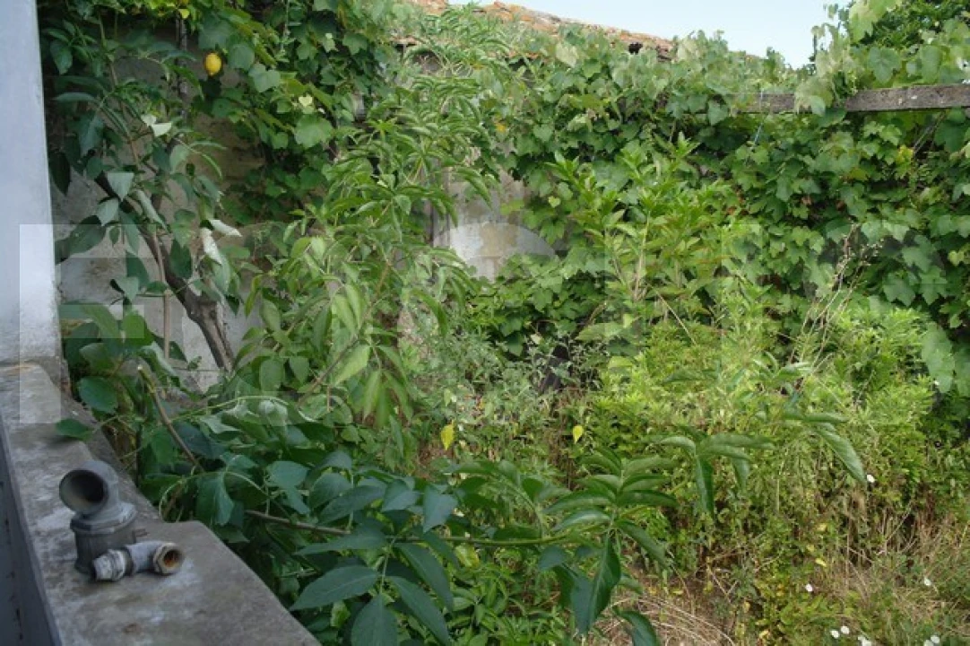 Moradia T1 para Venda em Vagos e Santo António Foto 7