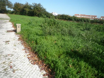 Terreno para Venda em Albergaria-A-Velha e Valmaior
