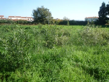 Terreno para Venda em Albergaria-A-Velha e Valmaior