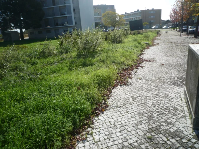 Terreno para Venda em Albergaria-A-Velha e Valmaior Foto 3