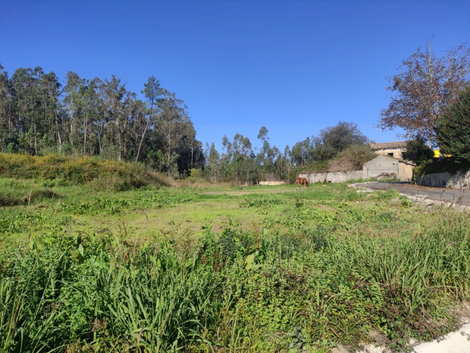 Quinta para Venda em Alquerubim Foto 6