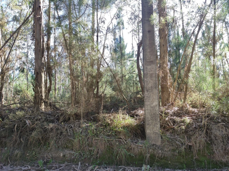 Quinta para Venda em Alquerubim Foto 8