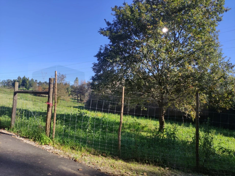 Quinta para Venda em Alquerubim Foto 10