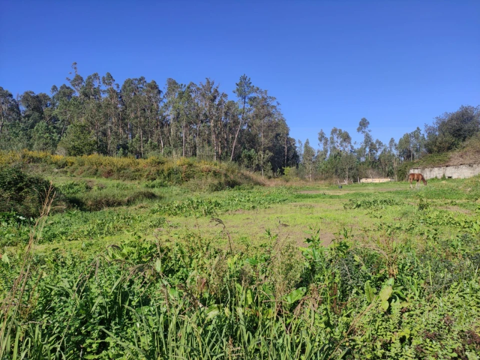 Quinta para Venda em Alquerubim Foto 13