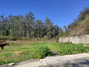 Quinta para Venda em Alquerubim