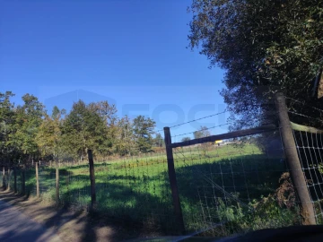 Quinta para Venda em Alquerubim