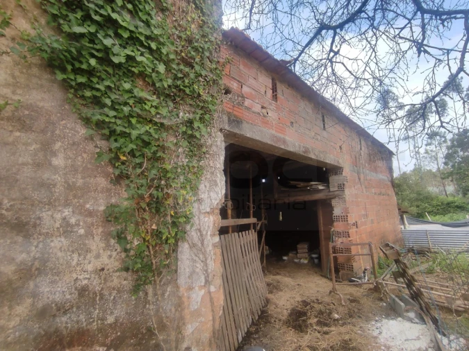 Quinta para Venda em Alquerubim Foto 27