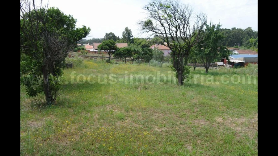 Quinta T3 para Venda em Eixo e Eirol