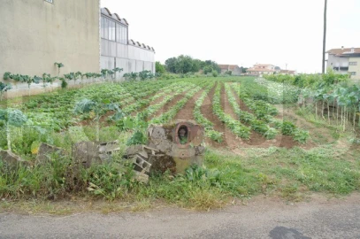 Terreno para Venda em Requeixo, Nossa Senhora de Fátima e Nariz