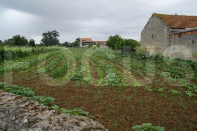 Terreno para Venda em Requeixo, Nossa Senhora de Fátima e Nariz