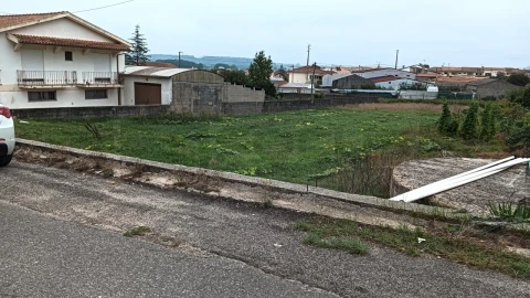 Terreno para Venda em Fermentelos