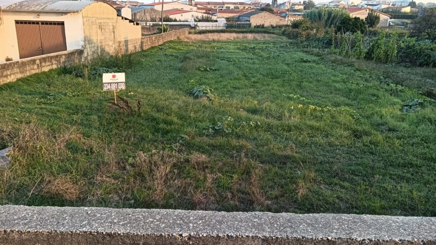 Terreno para Venda em Fermentelos