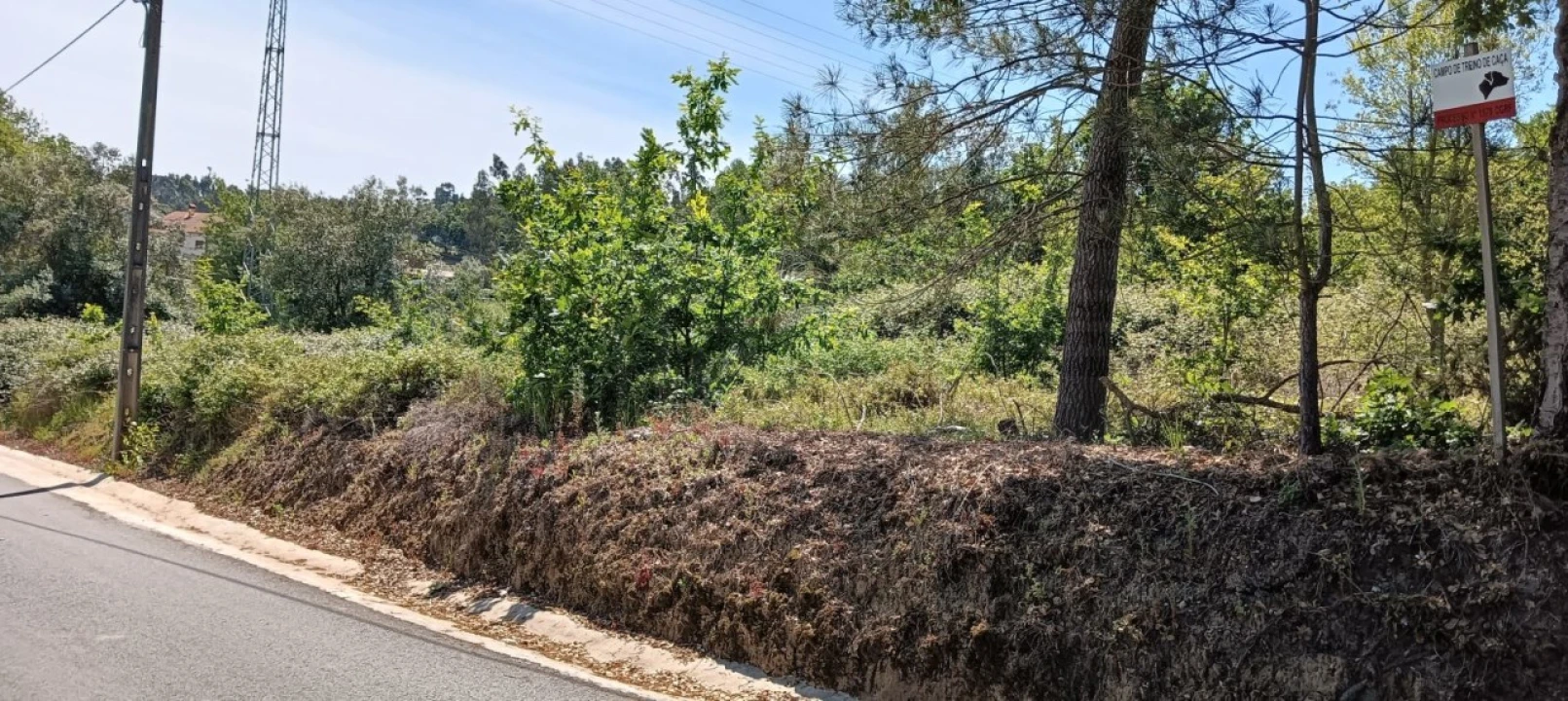 Terreno para Venda em Requeixo, Nossa Senhora de Fátima e Nariz Foto 2