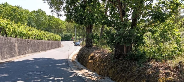 Terreno para Venda em Requeixo, Nossa Senhora de Fátima e Nariz
