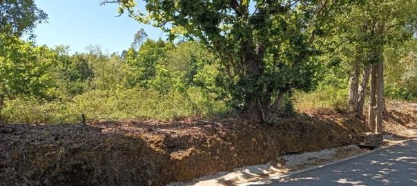 Terreno para Venda em Requeixo, Nossa Senhora de Fátima e Nariz