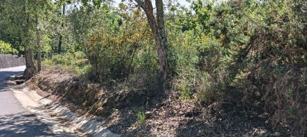 Terreno para Venda em Requeixo, Nossa Senhora de Fátima e Nariz