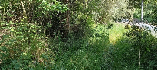 Terreno para Venda em Requeixo, Nossa Senhora de Fátima e Nariz