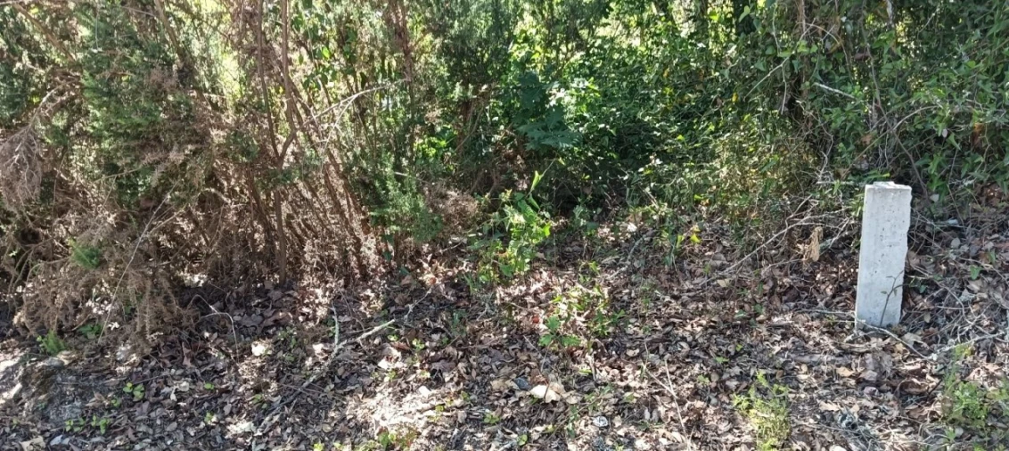 Terreno para Venda em Requeixo, Nossa Senhora de Fátima e Nariz Foto 9