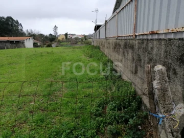 Terreno para Venda em Águeda e Borralha