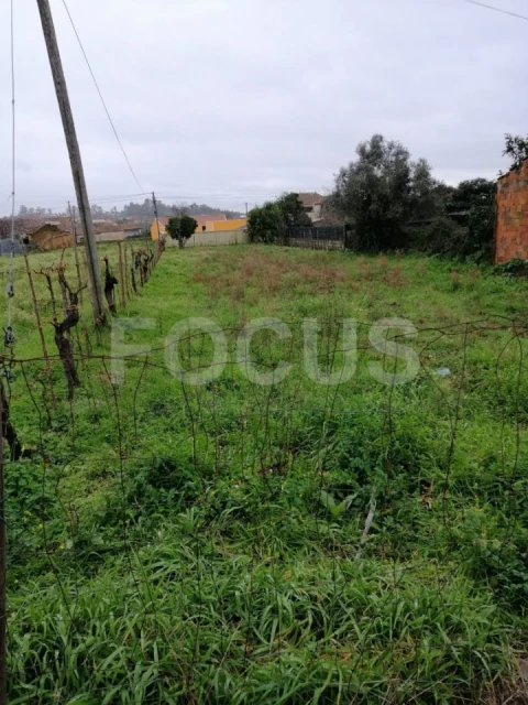 Terreno para Venda em Águeda e Borralha