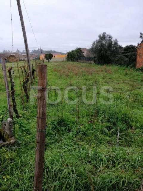 Terreno para Venda em Águeda e Borralha