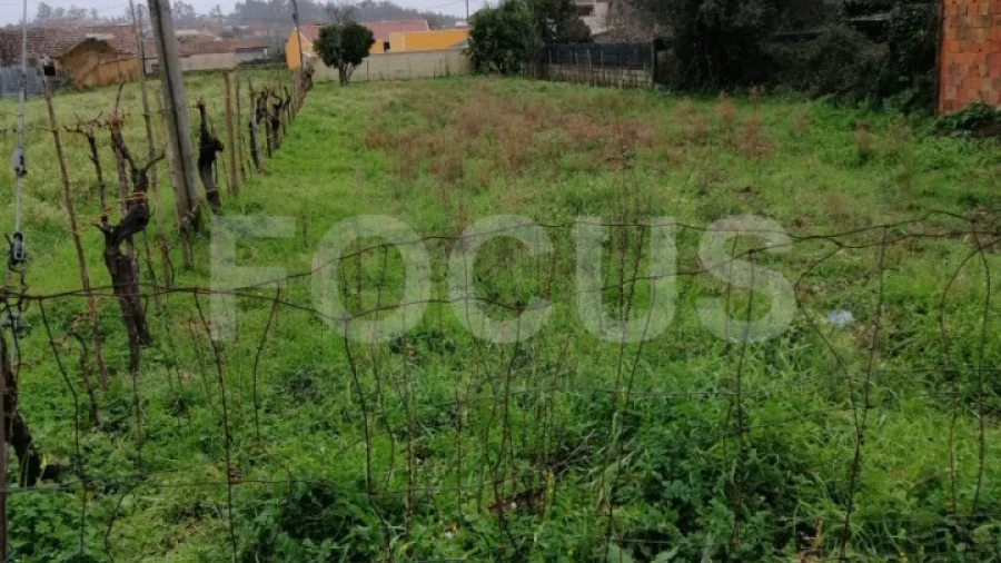 Terreno para Venda em Águeda e Borralha