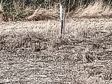 Terreno para Venda em Gafanha da Encarnação